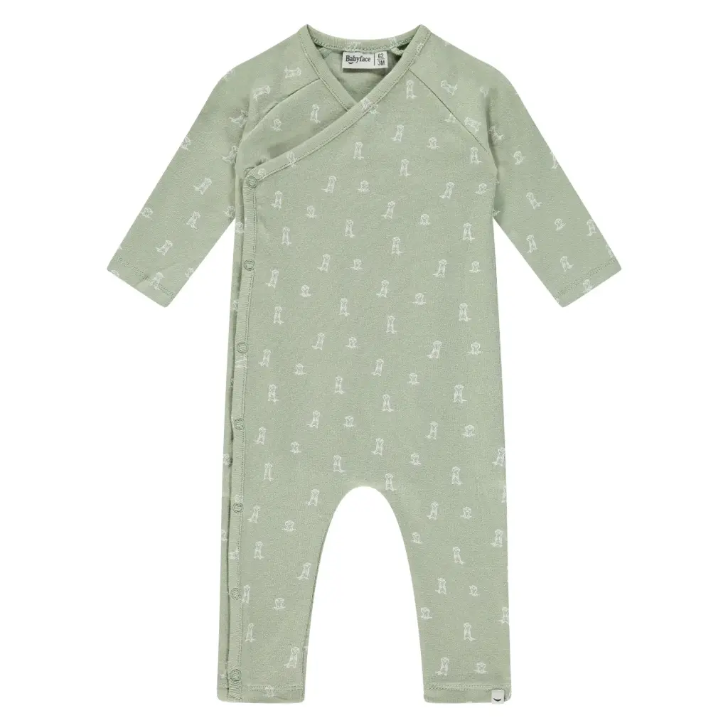 Babyface Sweet - Combinaison Suricate - Pistachio 