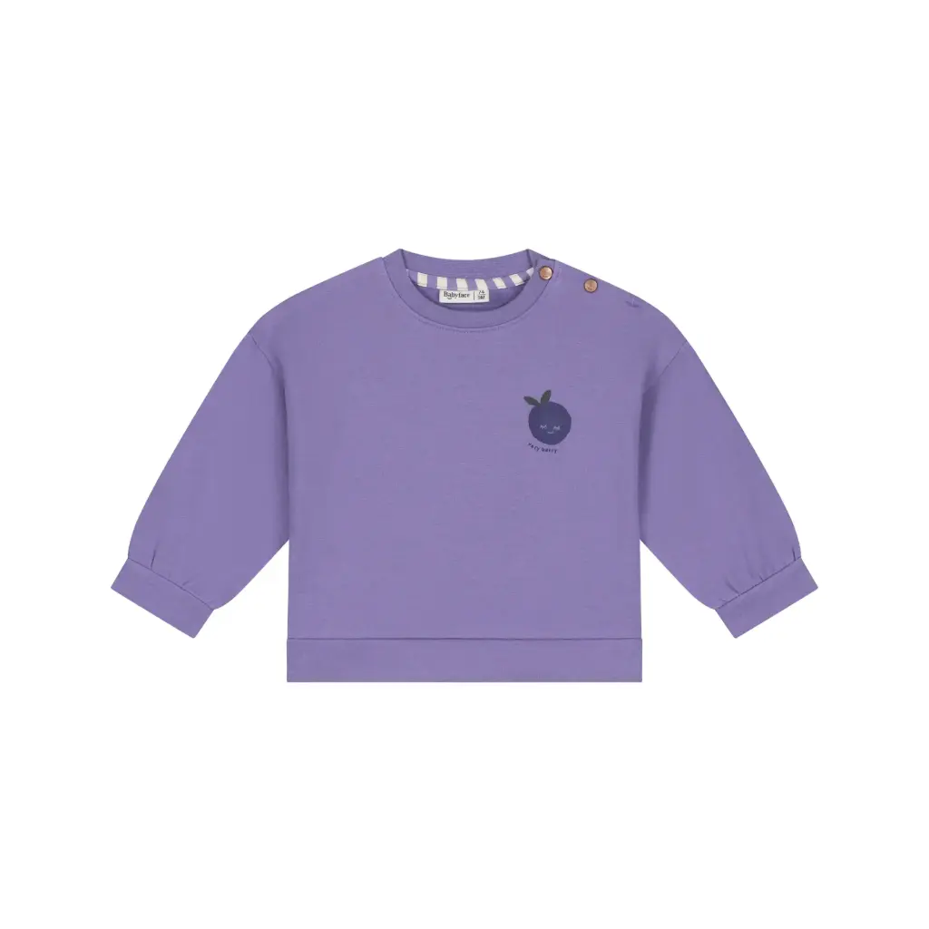 BABYFACE - Pull Myrtille - Faded Plum - Fille