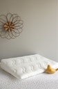 Kadolis - Plan incliné Aloe R - 60cm