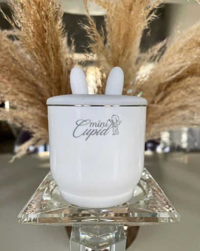 Mini Cupid - Chauffe-biberon portable et rechargeable - Blanc