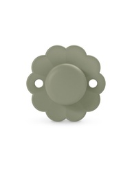 Suavinex - Sucette en silicone Wonder 0/6 mois - Hedge Green