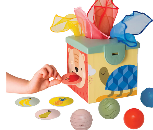 [12965] Taf Toys - Boîte magique - 12 mois +