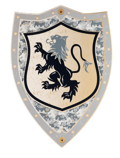 [106881] SOUZA - Bouclier Raymond