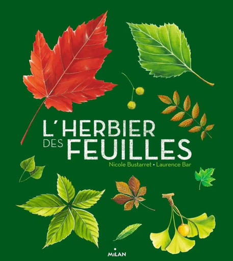 Éditions Milan - L'herbier des feuilles