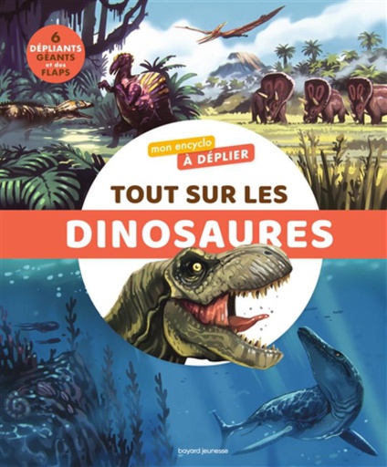 Livre encyclopédie - Tout sur les dinosaures - Bayard Jeunesse