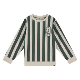 Stains &amp; Stories - Pull rayé vert - garçon