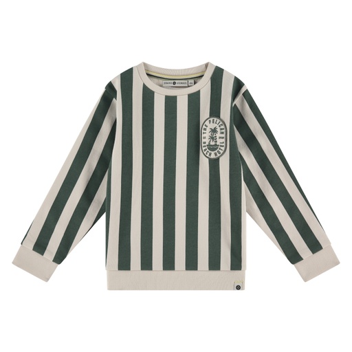 Stains & Stories - Pull rayé vert - garçon