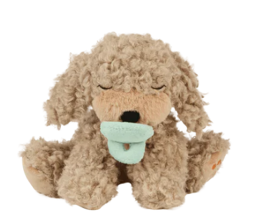 Olli Ella - Dinkum Dog - Puppies - Benny