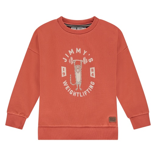 STAINS & STORIES - Pull orange à motifs - Garçon