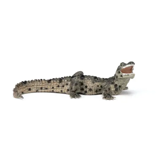 [50137] Papo - Figurine - Bébé crocodile