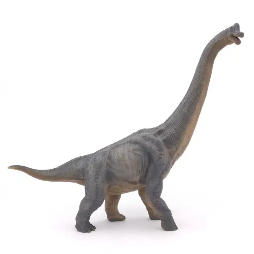 [55030] Papo - Figurine - Brachiosaure