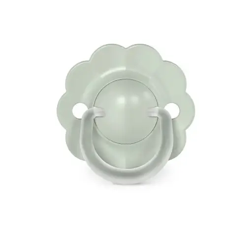 Suavinex - Sucette réversible SX pro Wonder - Vert Doux - 0/6m [309459]