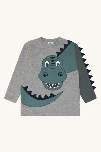Hust & Claire - T-shirt manches longues garçon - Anton Dino