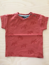 BABYFACE - T-shirt tortues - Terra red